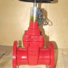 【消防信號(hào)閘閥XZ45X-16Q 河南遠(yuǎn)東閥門廠圖片】消防信號(hào)閘閥XZ45X-16Q 河南遠(yuǎn)東閥門廠